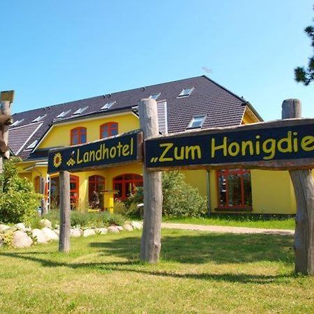 Landhotel Zum Honigdieb ริบนิทซ์-ดัมการ์เทิน ภายนอก รูปภาพ